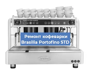 Чистка кофемашины Brasilia Portofino STD от кофейных масел в Нижнем Новгороде